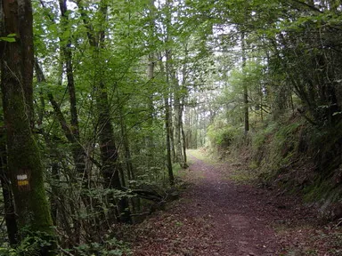 [PR-Gi 118] La ruta del canal (Billabona)