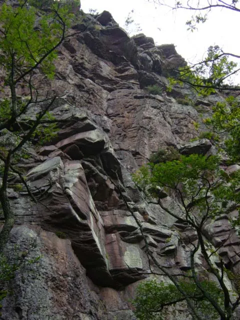 Lasturmendi