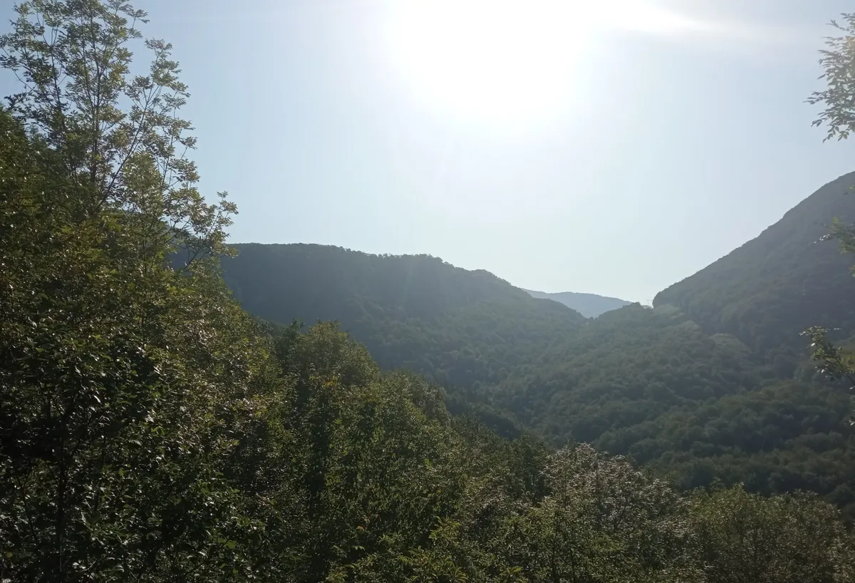 Malloas de Osiñaga