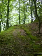Calzada de Bernoa