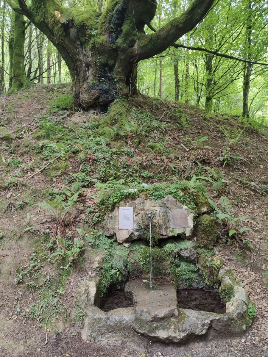 Fuente de Intsusti