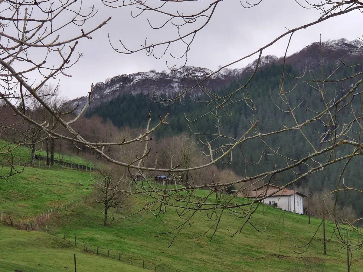 Collado de Bedama