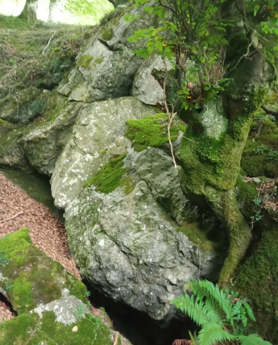 Cueva de Katamotzeta