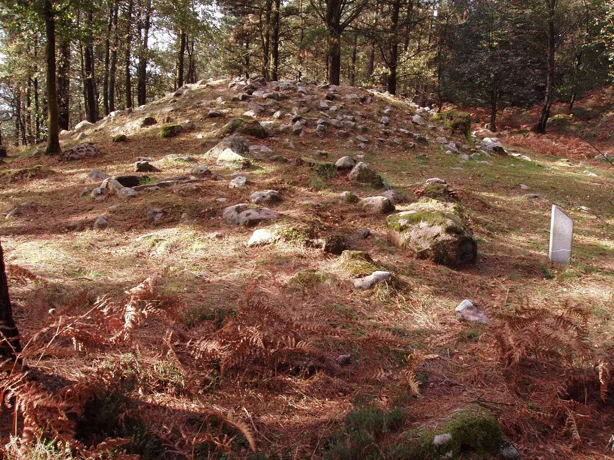 [PR-Gi 216] Camino de las muelas
