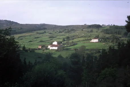Zubia (araotz)