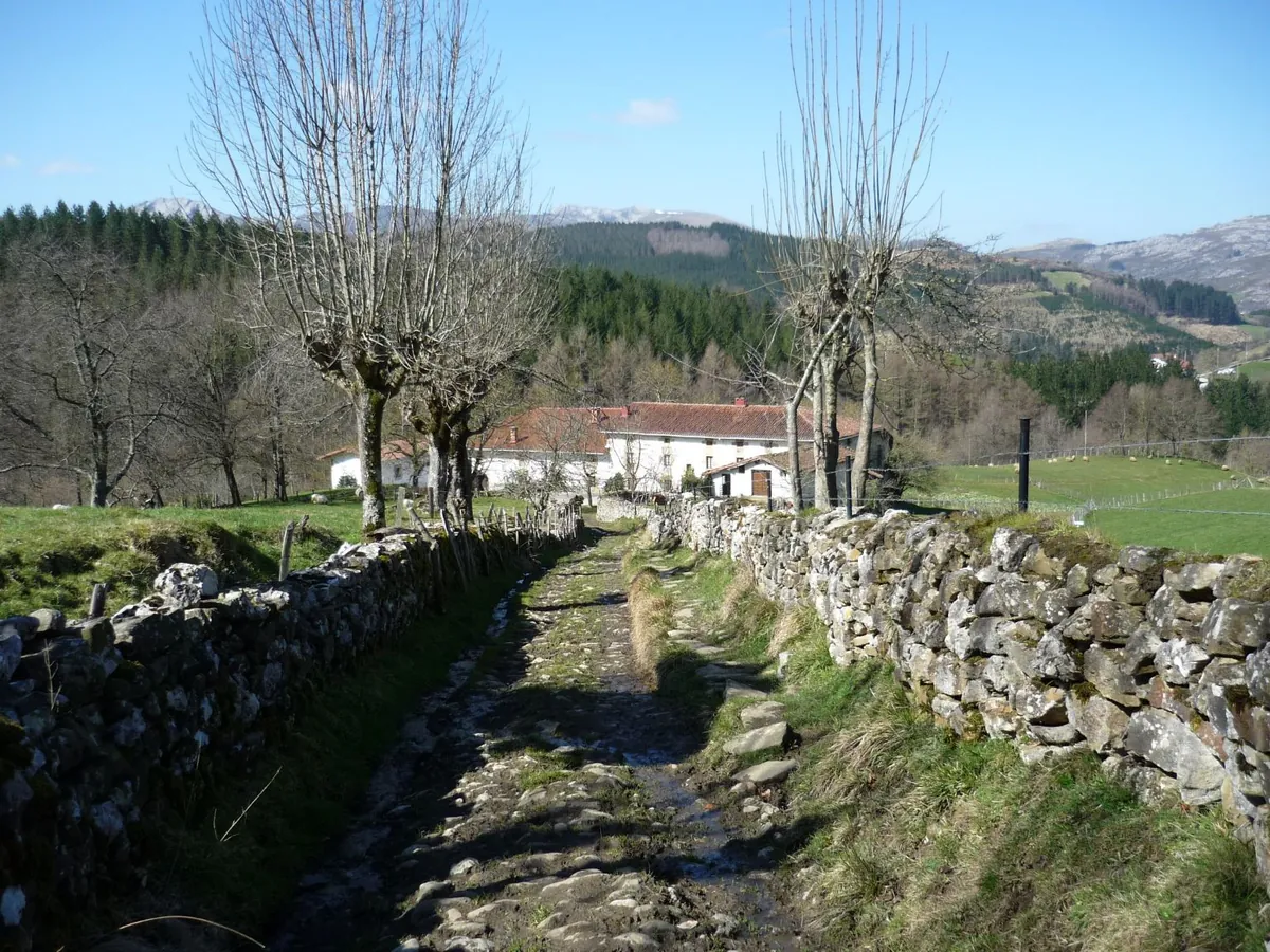 Camino Carretil de Arrola