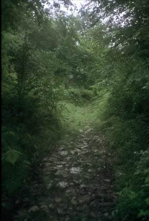 Camino Carretil de Okola