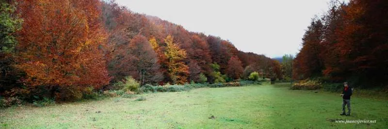 Iturrigorri