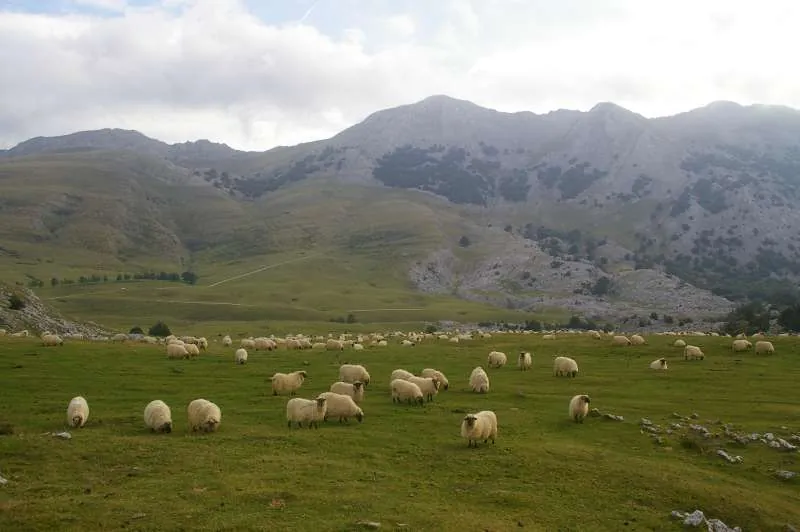 Urbia