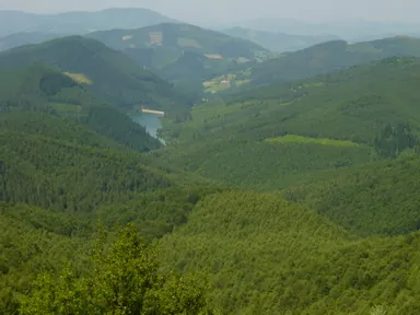 Bosque de Barrendiola