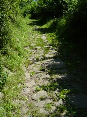 Estrada Zaharra (camino Viejo)
