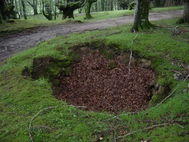 Calero de Mandabide