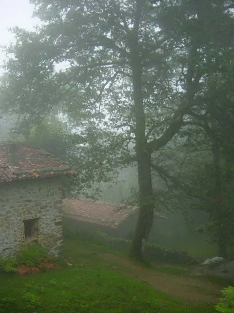 Roble de Txaparri