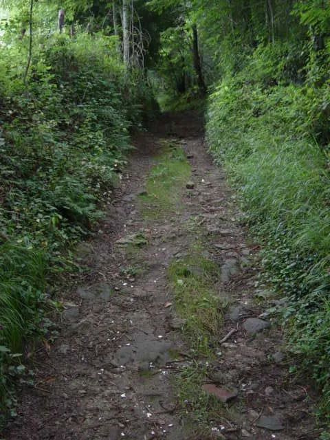 Camino Carretil de Obazurtza