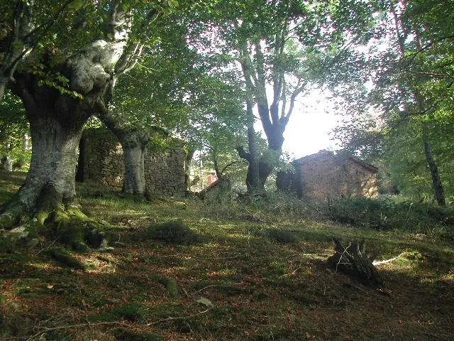 Obazurtza
