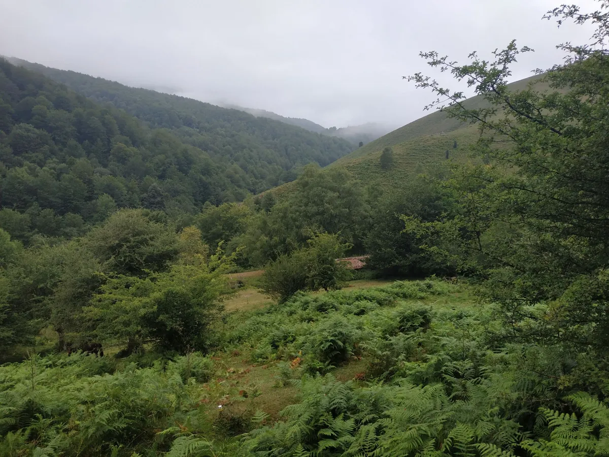 Sagastieta