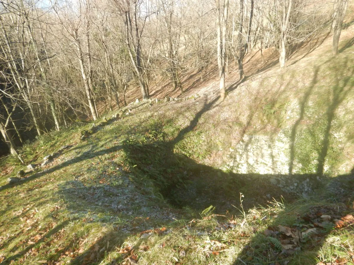 Neberako Lizarra