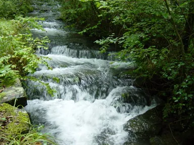 Río Goltzibar