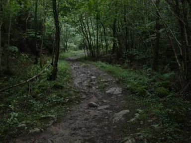 Calzada de Goltzibar
