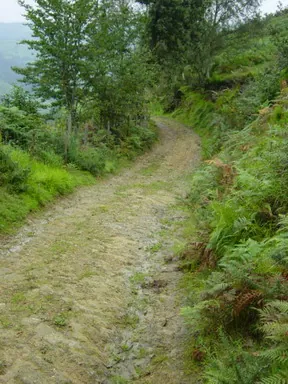 Camino Carretil de Ondarbaso