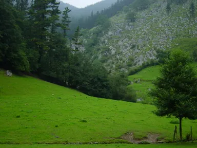 Ekain