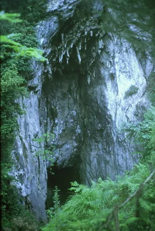 Kobalde
