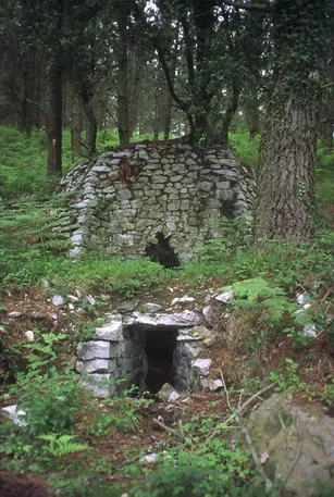 Calero de Miruaitz