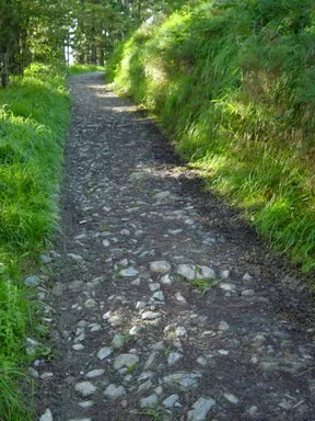 Camino Carretil de Mallutz