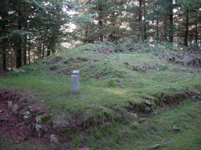 Trikuaizti II