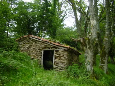 Chabola de Antxiturdi