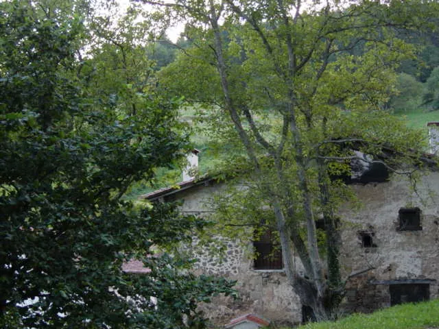 Frutales de Astigarreta