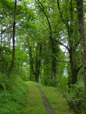 Karril Zaharra (carril Viejo)