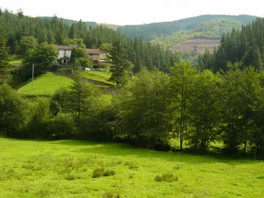 Bosquecillos del Río Urkulu