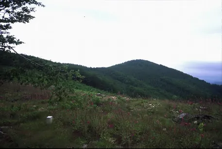 Keixetako Egia. Ipar