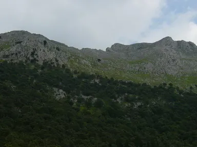 Encinar de Udalatx