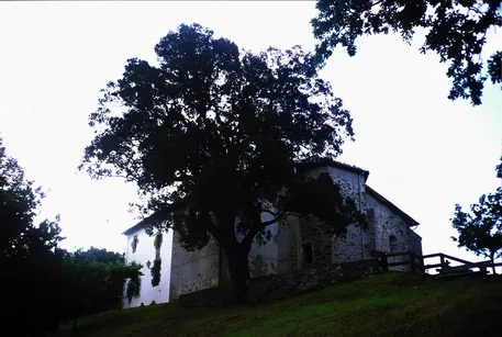 Encina de Aozaratza