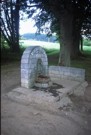 Fuente de Otala-Zelai