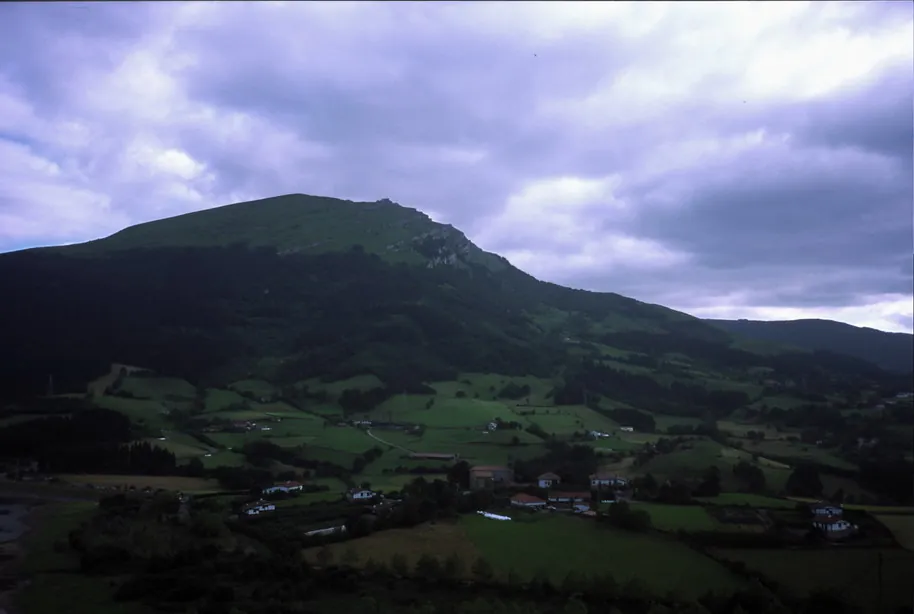 Larriño