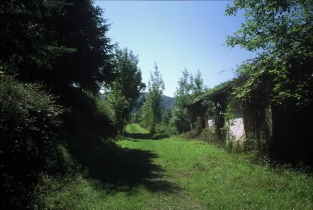 Ferocarril Vasco-Navarro
