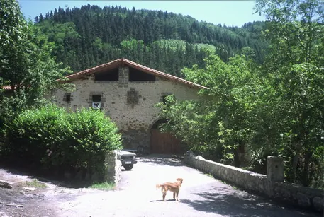 Lizarraga
