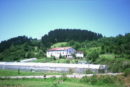Uzarraga