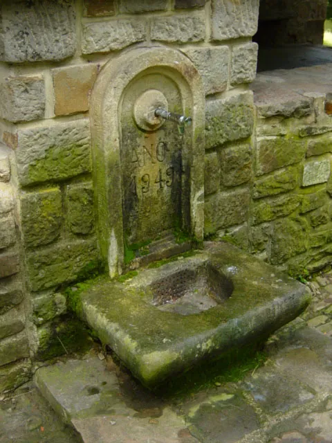 Fuentes de San Martin