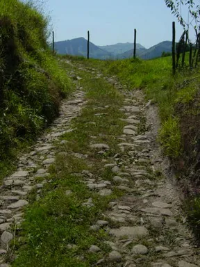 Camino Carretil de Errekalde