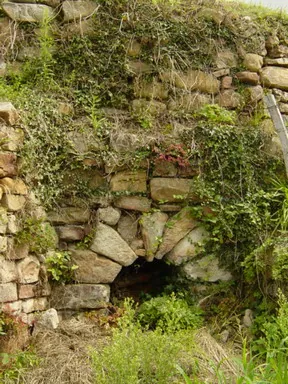 Calero de Basazabal