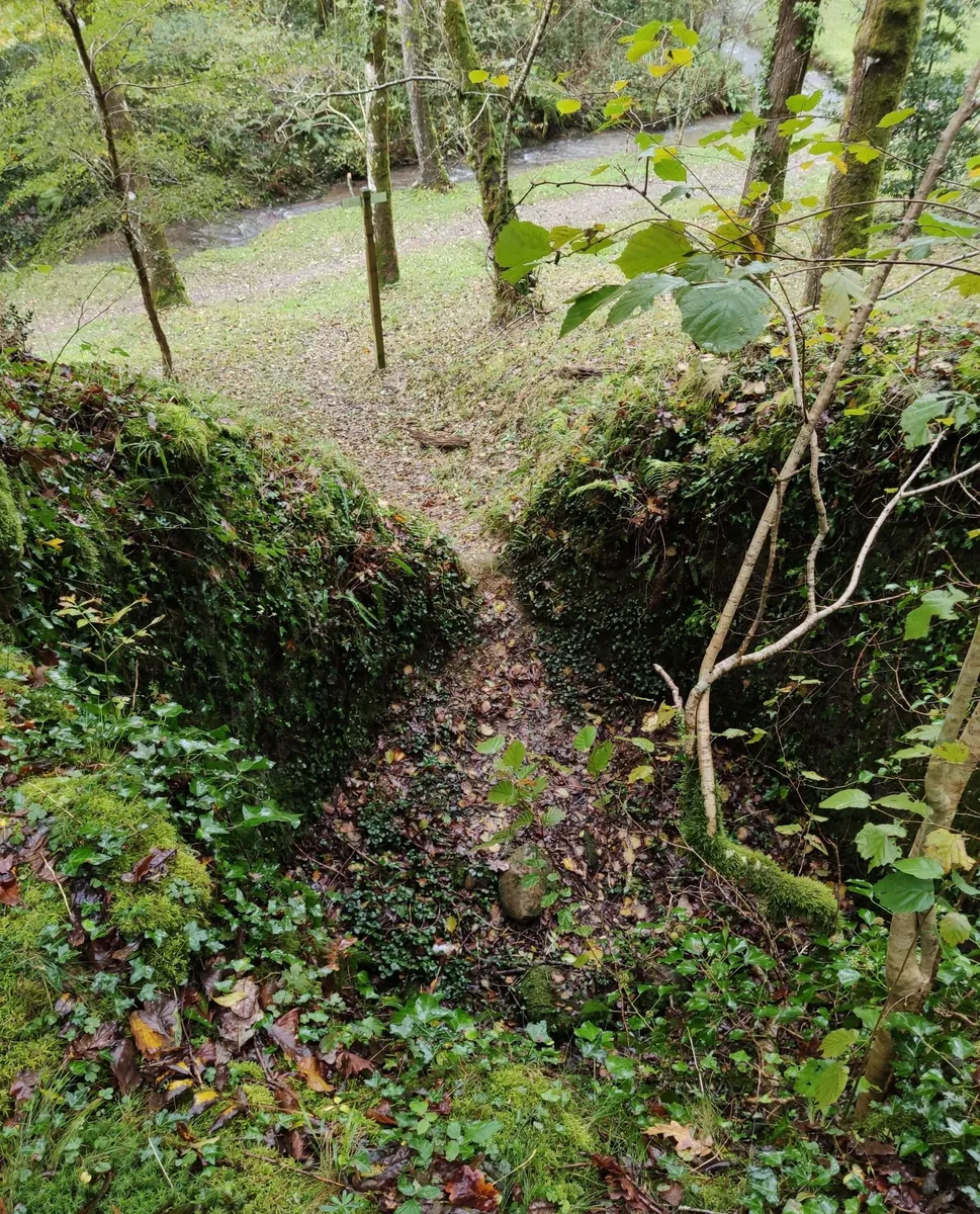 Azpitarte