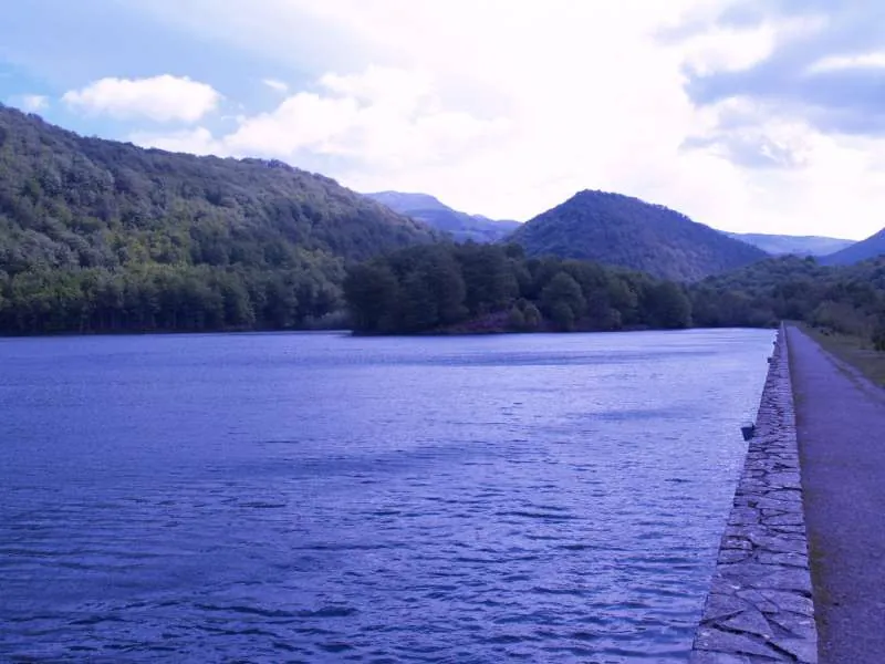 Embalse de Lareo 2