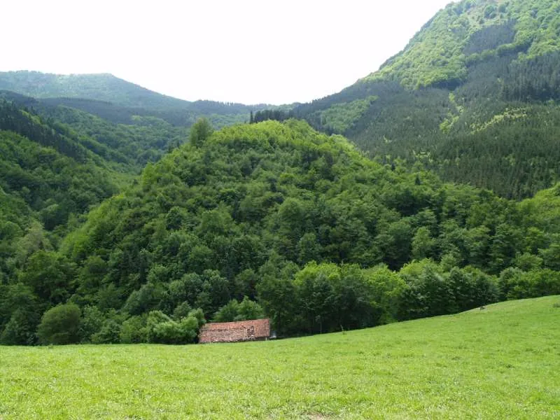Entorno de Andurio