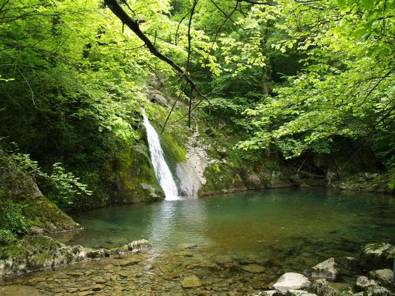 Osinberde