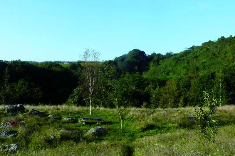 Zona Megalítica de Txoritokieta