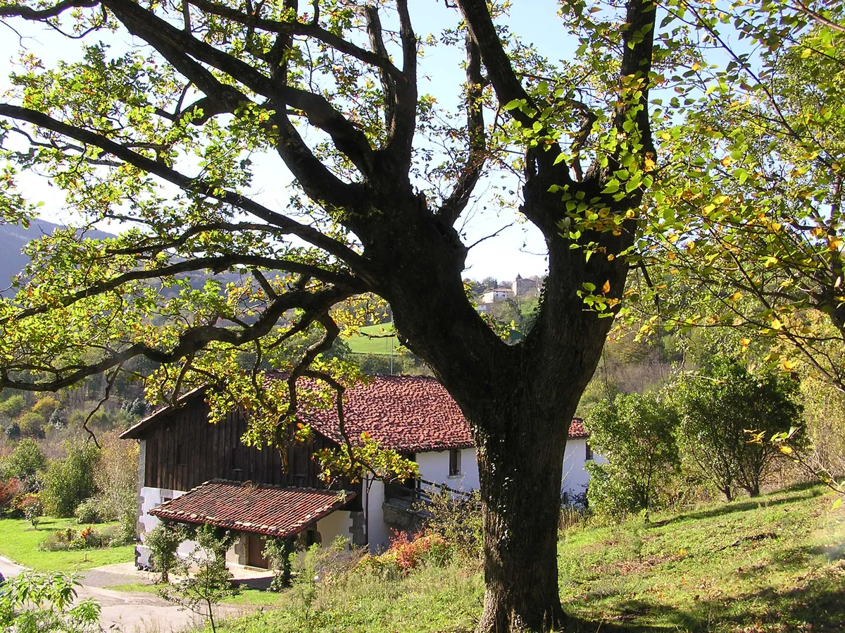 Iturraran